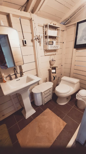 Bathroom 4, Island Waterfront w Pontoon Boat Hottub Dogs Lv, Lewis