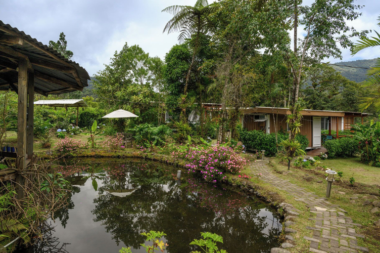 Exterior detail 4, Blue Morpho Lodge, Valverde Vega
