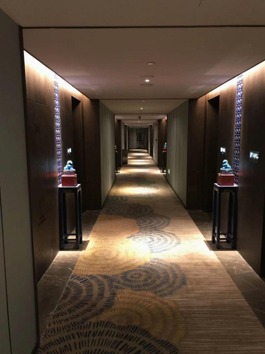 Others 5, Till Bright Hotel, Shaoyang Daxiang District Government, Shaoyang