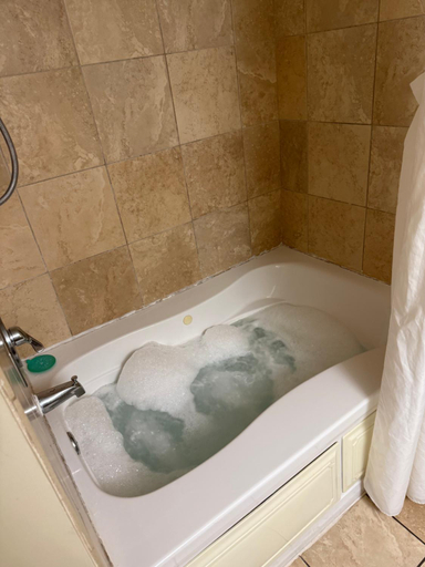 Bathroom 3, Sandy Beach Resort, Horry