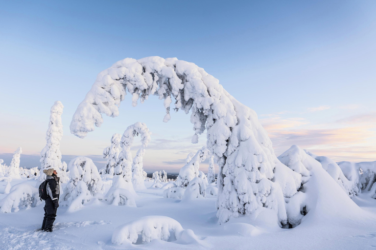 Safari 3, Aurora Hill Resort, Lapland