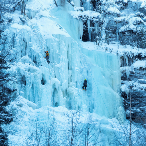 Safari 5, Aurora Hill Resort, Lapland