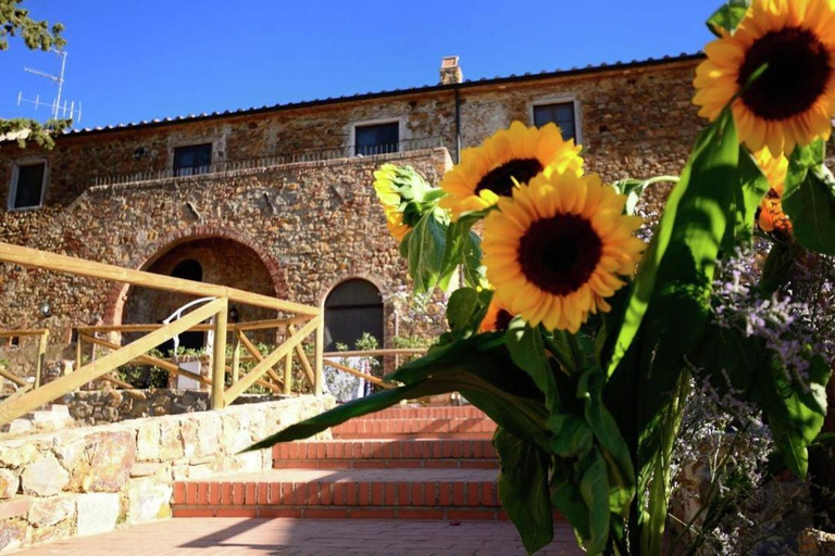 Others 4, Apartment in Campiglia Marittima, Livorno