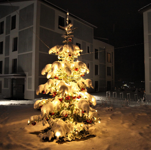 Exterior & Views 1, Emma's B&B LUNGERN - Self Check-in Hotel, Obwalden