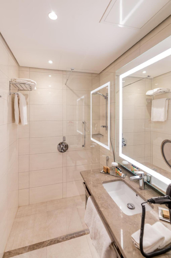 Bathroom 4, DoubleTree by Hilton Eskisehir, Turkey, Merkez