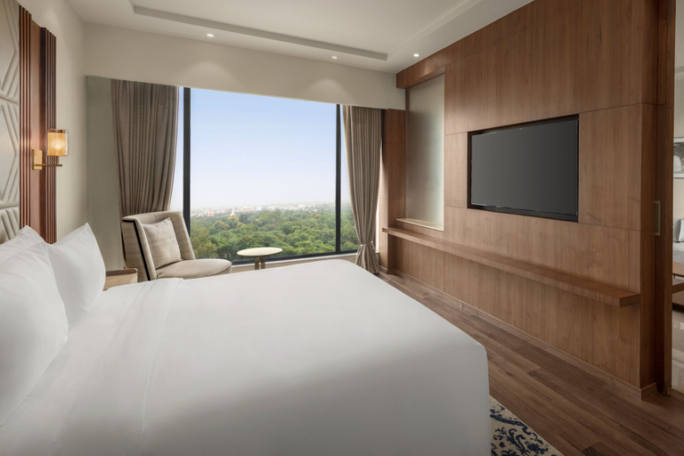 Room 3, Radisson Hotel Delhi MG Road, Delhi