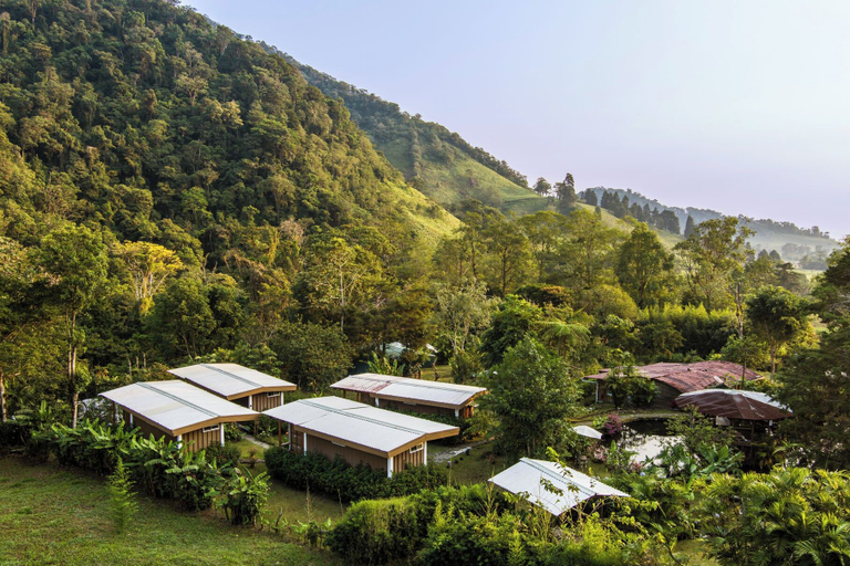 Aerial view 3, Blue Morpho Lodge, Valverde Vega