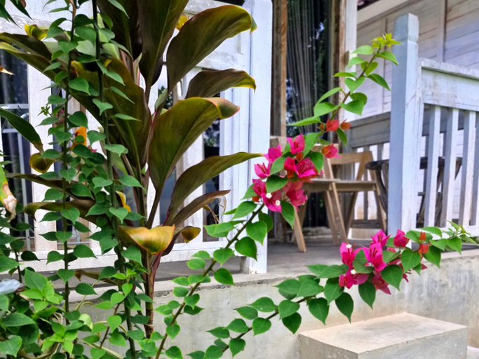 Others 5, The Layar Homestay II, Klungkung