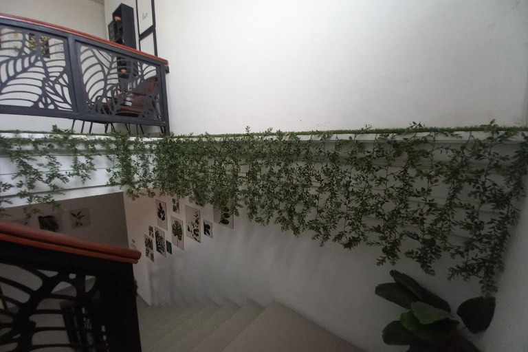 Interior view 5, Rumah Daun Guestb'doctor, Yogyakarta