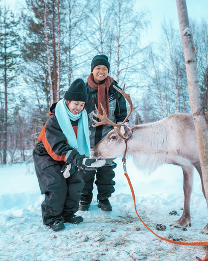 Safari 2, Aurora Hill Resort, Lapland