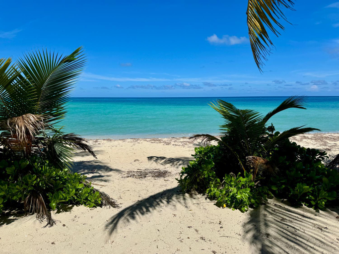 Others 5, Roatan Infinity Pool and Ocean View Apartment, Roatán