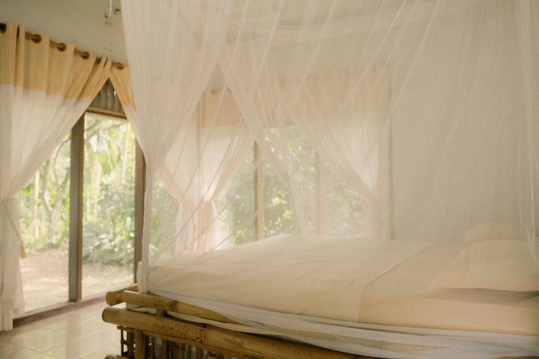 4, Ecolodge Bukit Lawang, Langkat
