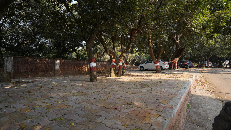 Others 3, The Olive Green Resort, Satara