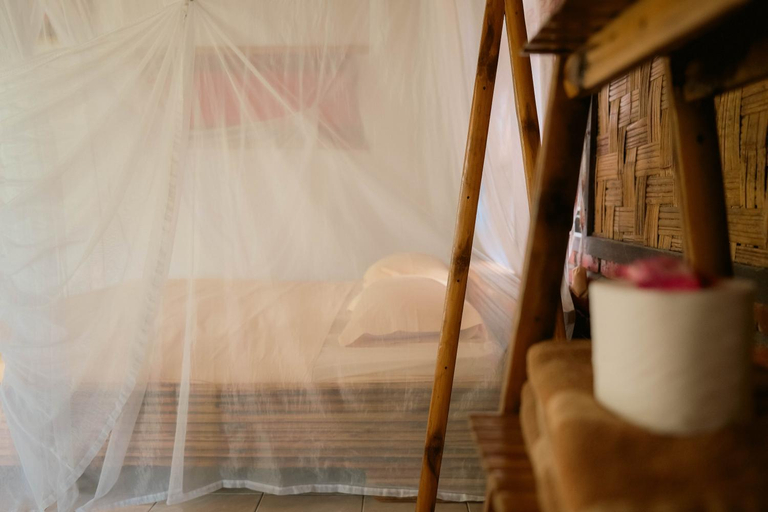 3, Ecolodge Bukit Lawang, Langkat