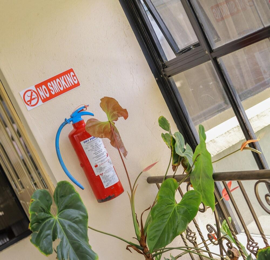 Others 5, Maxoil Hotel, Kieni