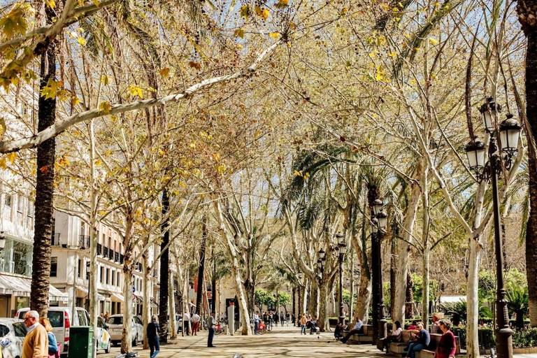 Others 3, Plaza de la Magdalena II, Sevilla centro Historico, Sevilla