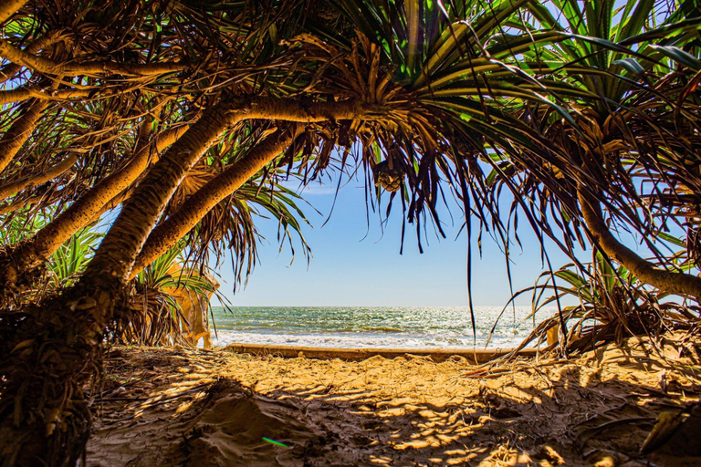 Others 2, Lotus Beach house, Phan Thiết
