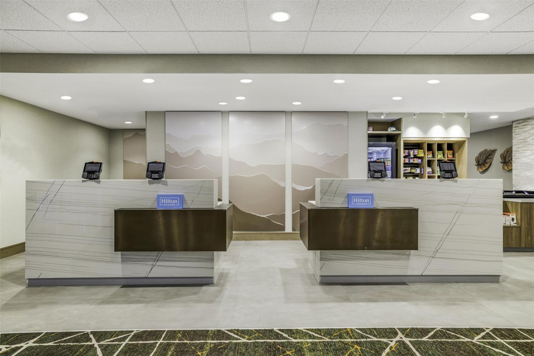 Public Area 2, Hampton Inn Aurora Medical Center Denver, Adams