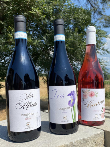 Food & Drinks 3, Borgo Iris - Wine Farm in Cortona, Arezzo