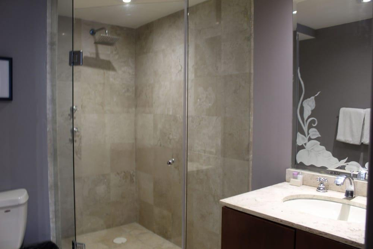 Bathroom 3, RESIDENCE L'HERITAGE HIPOLITO TAINE, Mexico City