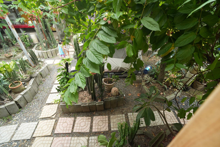 Others 4, Cactos Bar & Homestay, Ho Chi Minh City