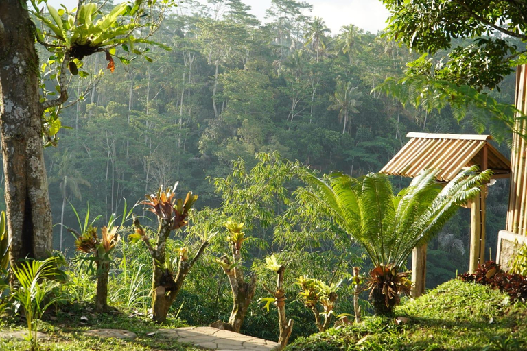 Balcony/terrace, Wana Ayu Jelijih Villa, Gianyar