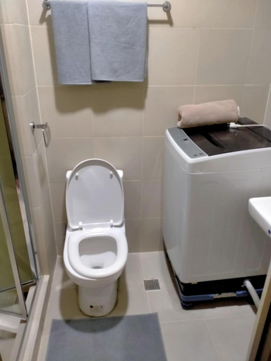 Bathroom 4, SMDC Fame Residences , Mandaluyong
