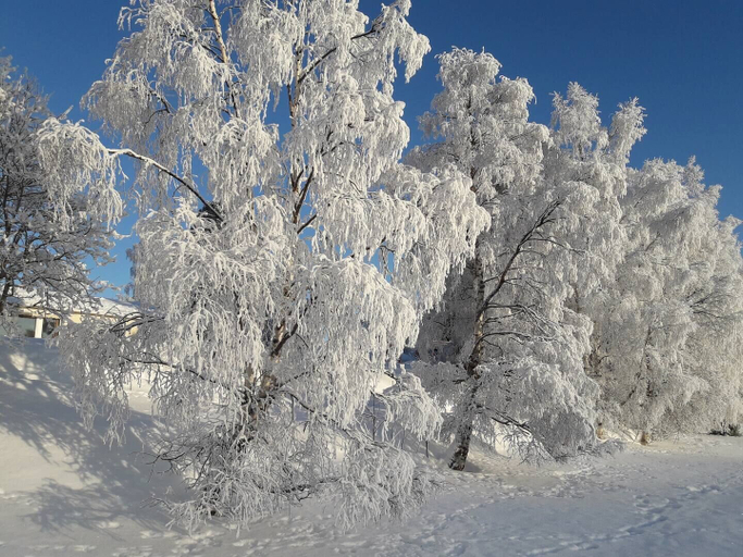 Skiing 5, Spacious 3BR House - River View & Sauna, Lapland
