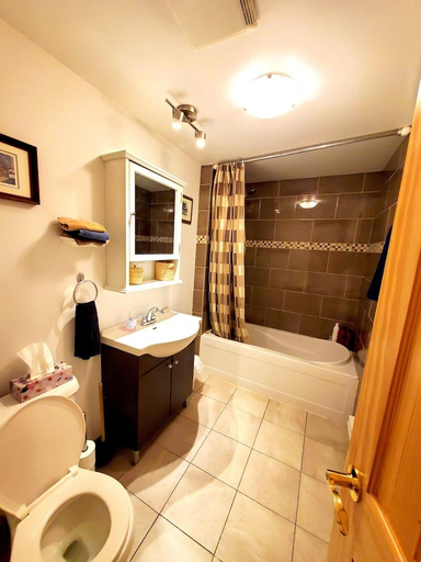 Bathroom 3, Maison Montplaisir, Montréal