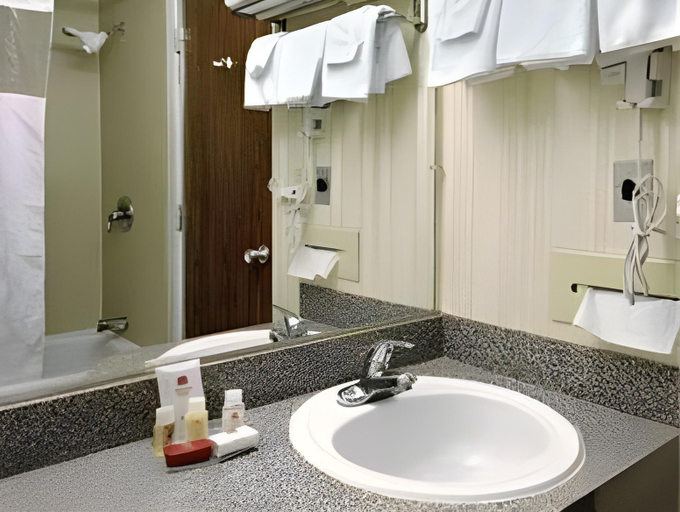 Bathroom, Ramada Lake City, Columbia