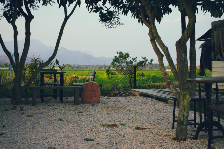 Food & Drinks 3, ComeOn Stay&Sleep Chiang Rai – Farmstay & Bistro, Mae Chan