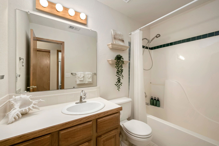 Bathroom 4, Shady Grove 4 King Beds, Dog Run & Outdoor Fun, Larimer