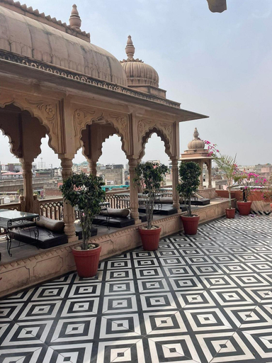 Others 4, Gypsy Monkey, Jaipur