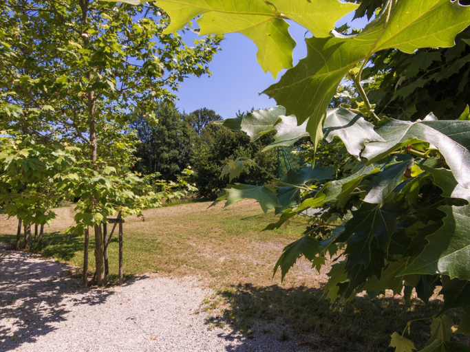Surrounding environment 5, Romantic stay in a medieval castle with pool and restaurant among others, Dordogne