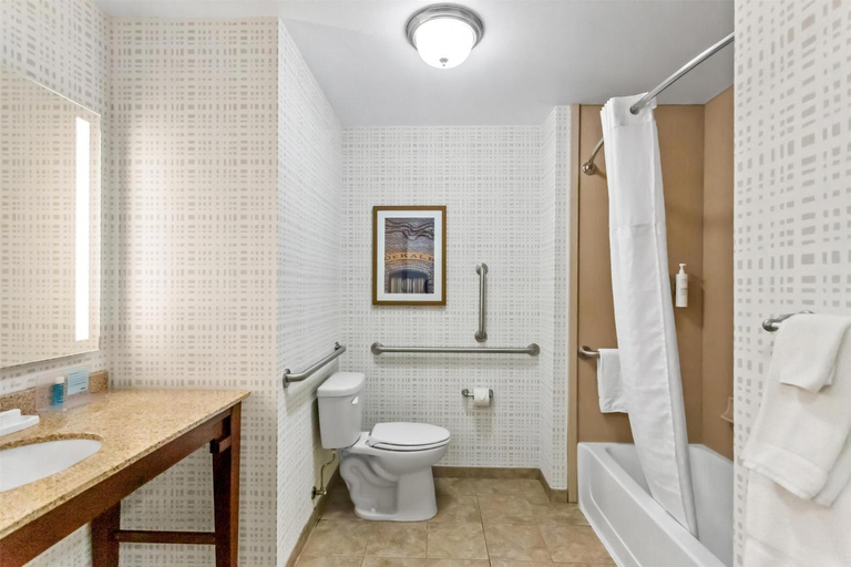 Bathroom 3, Hampton Inn-DeKalb (Near the University), De Kalb
