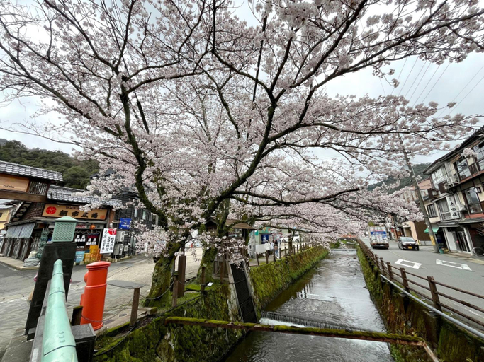 Others 2, Ryokan YaDOKARI - Vacation STAY 28940v, Toyooka