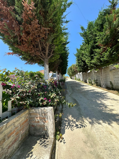 Others 4, Casa Verde Apartment for Rent, Kavajës