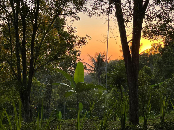 Others 3, D'Langun Bali, Buleleng