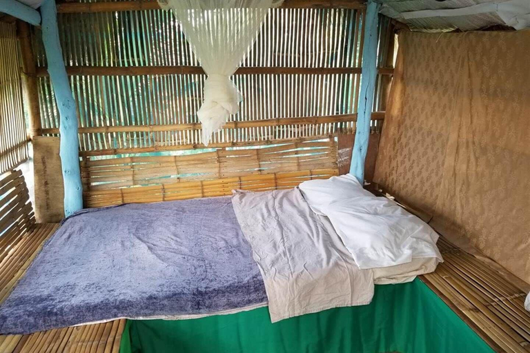 Massage, Spark Camp - Baler, Baler
