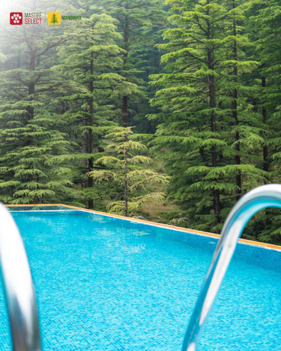 Sport & Beauty 2, Mastiff Select Mandavya Dharamkot, Mcleodganj, Kangra