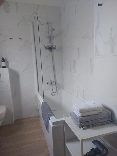 Bathroom 3, Apartments DaSara, Rovinj