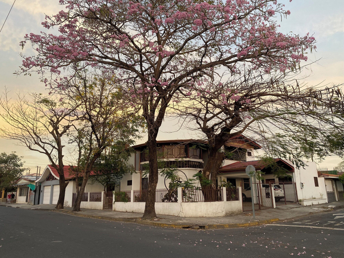 Primary image
