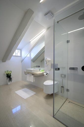 Bathroom 4, Hotel Bishops House, Praha 1