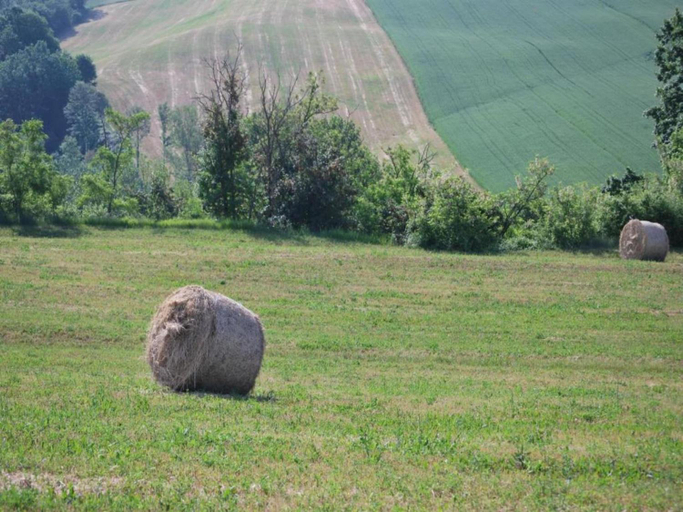 Surrounding environment