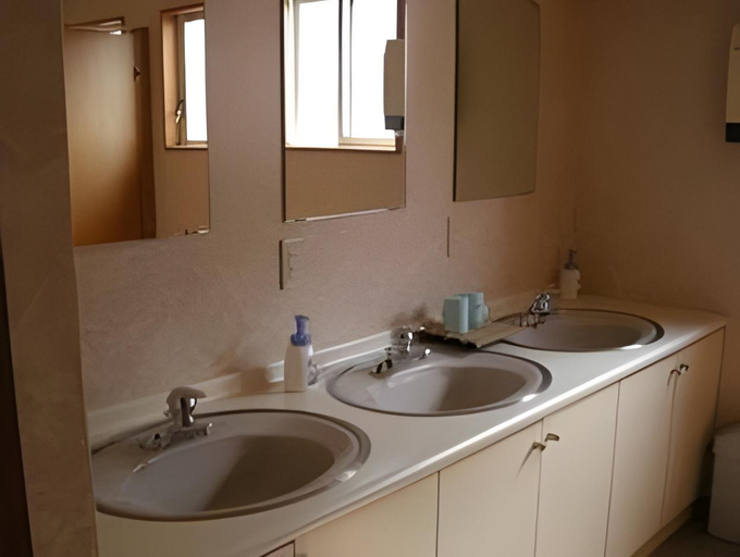 Bathroom, Ryokan Asano Hotel, Gujō