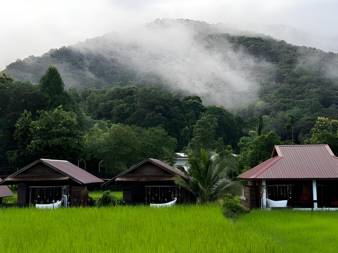 Others 5, Nansilarom, Pua