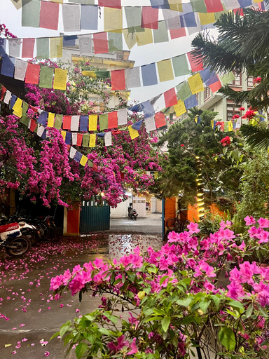 Others 5, Sunrise Cottage, Bagmati