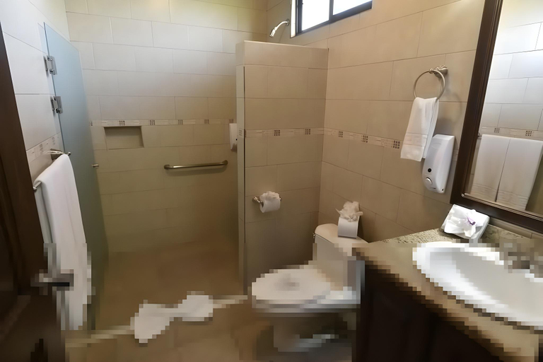 Bathroom 3, Hotel Los Lagos Spa & Resort, San Carlos