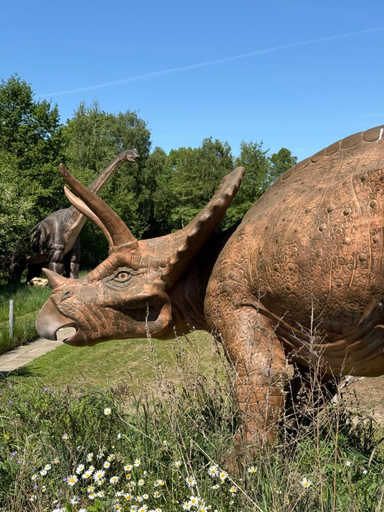 Others 5, Auszeit am Alfsee, inklusive Dinopark und Indoorspielplatz, Osnabrück