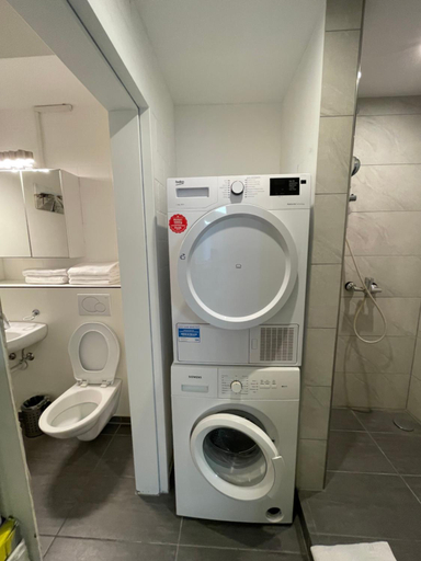 Bathroom 2, Berger Zentrum, Weinfelden